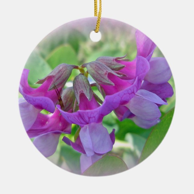 Beach Pea - Lathyrus japonicus - Wildflower Ceramic Tree Decoration (Front)