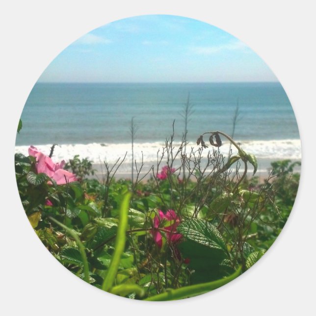Beach Plum Beach Bum Classic Round Sticker (Front)