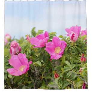 Beach Plum Roses Shower Curtain