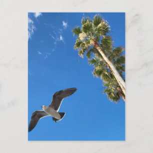 Beach Post Card