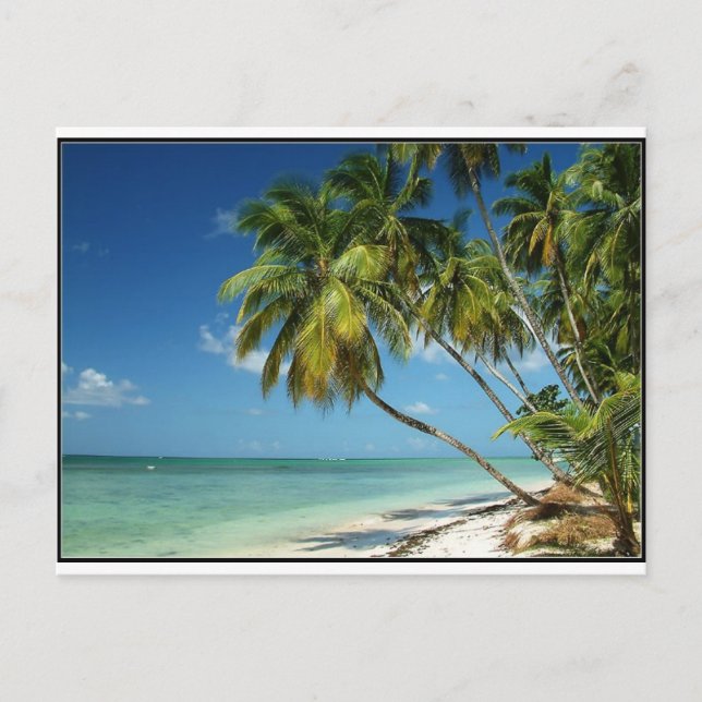 BEACH POSTCARD (Front)