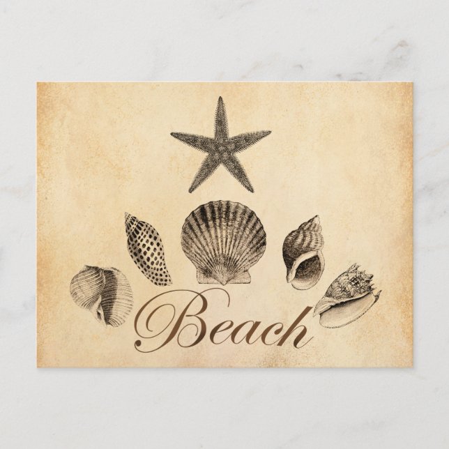 Beach Postcard (Front)