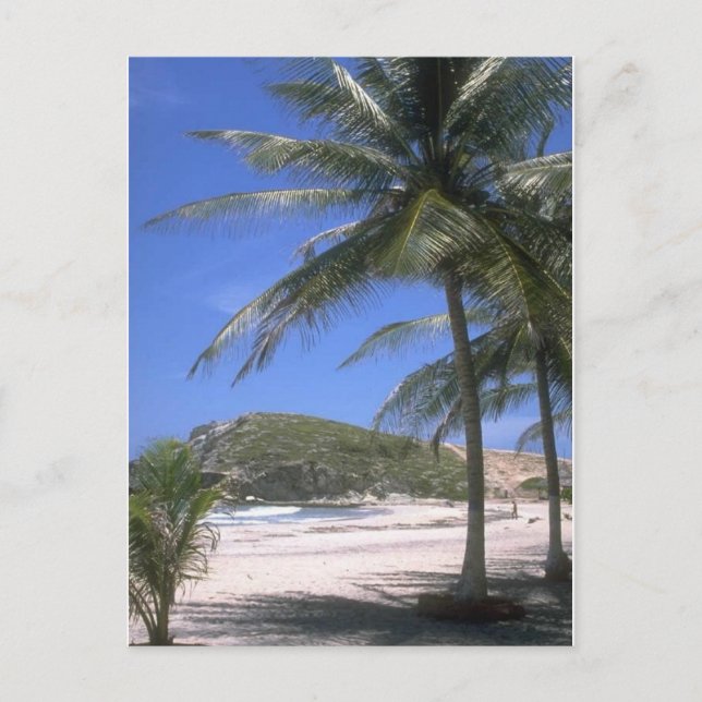 Beach Postcard (Front)