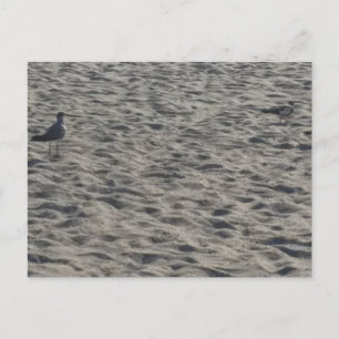 Beach Postcard