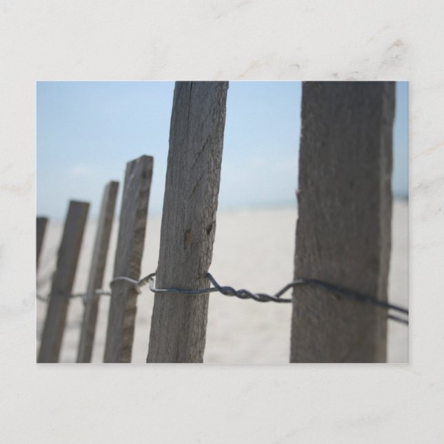 Beach Postcard (Front)