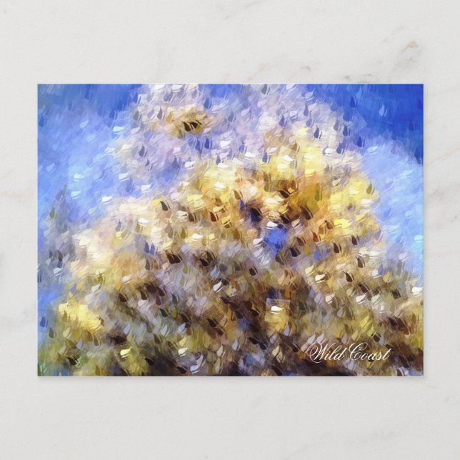 BEACH POSTCARD (Front)