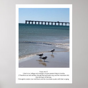 Beach  poster