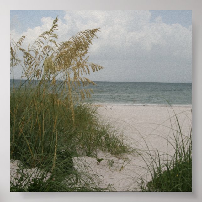 Beach Poster (Front)