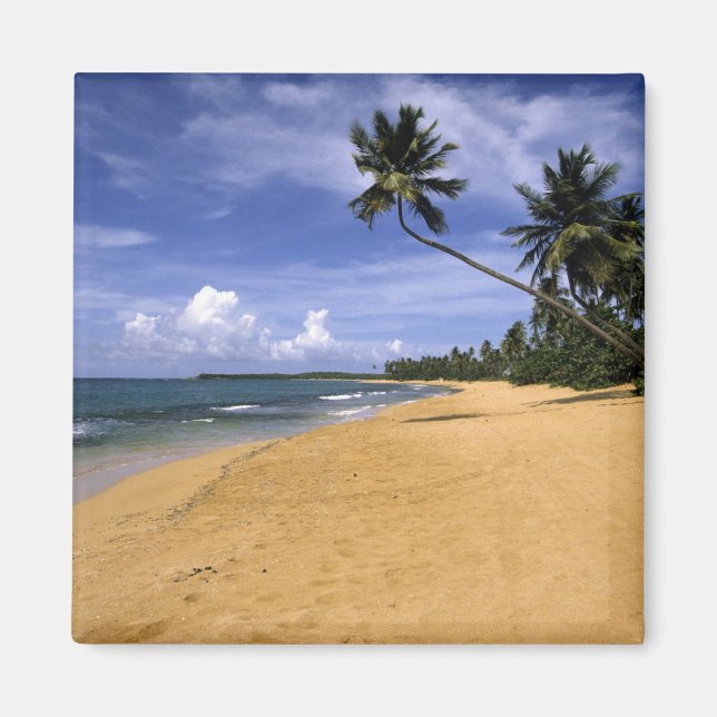 Beach Puerto Rico 2 Magnet (Front)