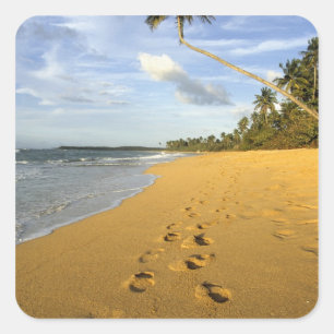 Beach Puerto Rico Square Sticker