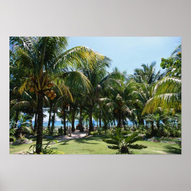 Beach resort poster (Front)