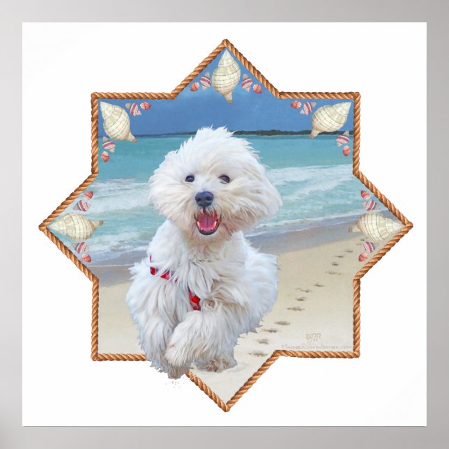 Beach Run Poster (Front)