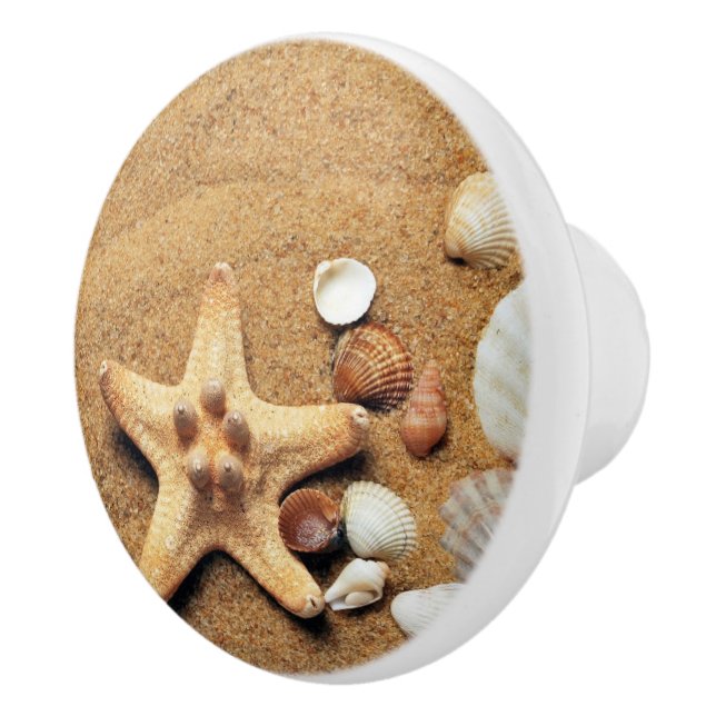 Beach Sand Shells Draw Knobs Ceramic Pull (Right)