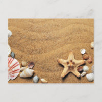 Beach Sand Shells