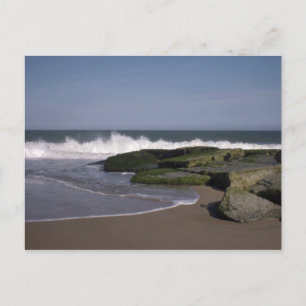 Beach Scene 2 Postcard