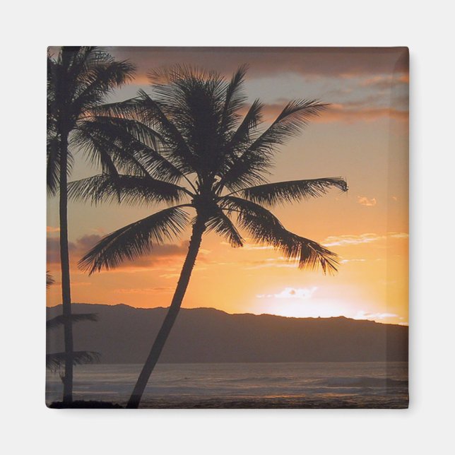 beach scene palm trees magnet (Front)
