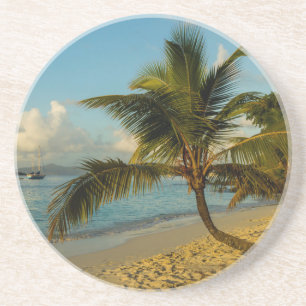 Beach scenic coaster