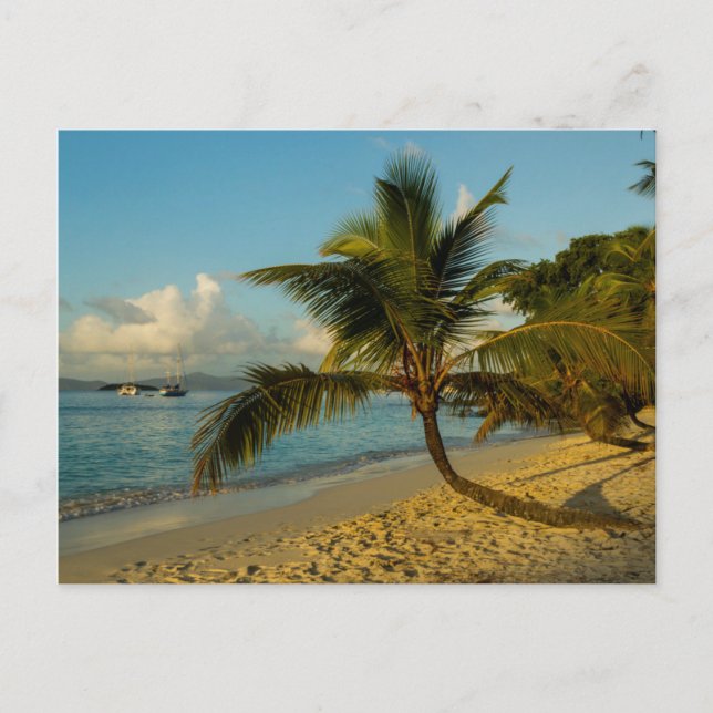 Beach scenic postcard (Front)