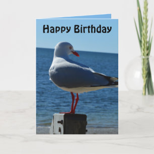 Beach Sea Gull, Birthday Card