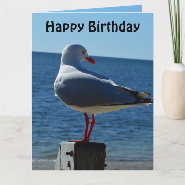 Beach Sea Gull, Jumbo Birthday Card (Front)