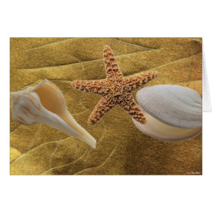 Beach - Sea Shell - Card