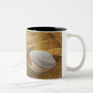 Beach -Sea Shell- Mug