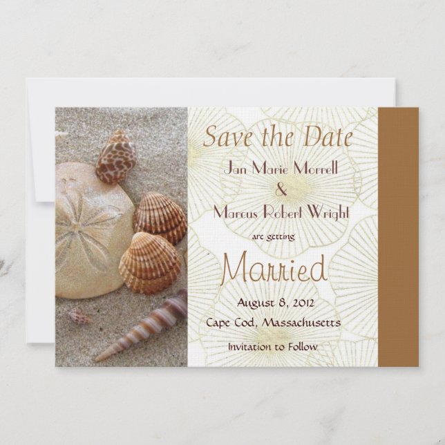 Beach Sea Shells Wedding Save the Date Card (Front)