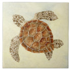 Beach Sea Turtle Coastal Ocean Seashore Sand