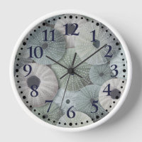 Beach Sea Urchins Nautical