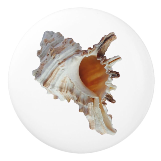 Beach Seashell Ocean Shell Ceramic Knob (Front)