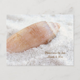Beach Seashell Save the Date Wedding Postcard