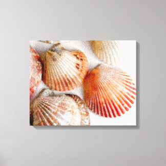 Beach Seashells Art Canvas Print