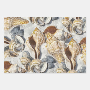 Beach seashells charm oceanside wrapping paper sheet