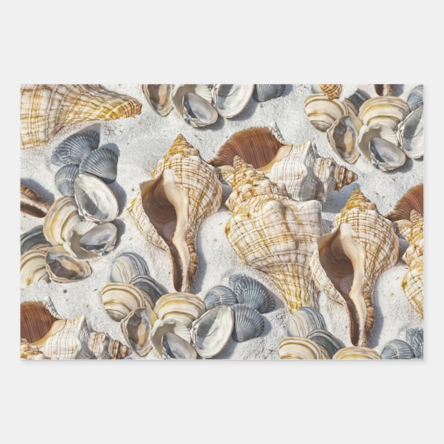Beach seashells charm oceanside wrapping paper sheet (Front)