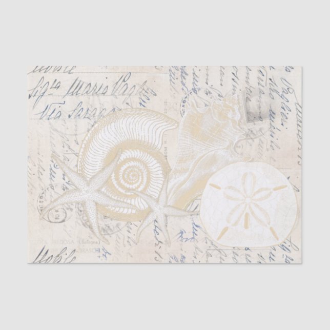Beach Seashells Cream Italian Writing Tissue Paper (Front)