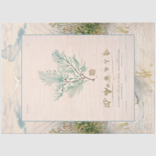 Beach Seashore Botanical Sea Weed Blue Decoupage Tissue Paper