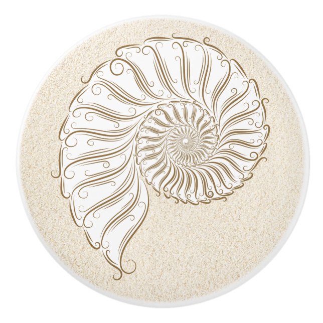 Beach Shell Drawer Knobs (Front)