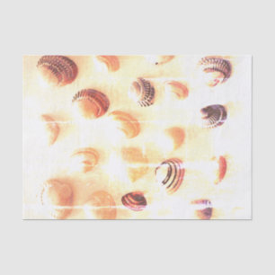 Beach shell photo print custom decoupage crafts tissue paper