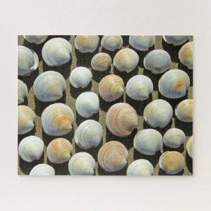 BEACH SHELLS 16x20 INCH Jigsaw Puzzle
