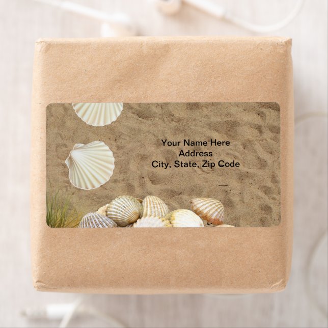 Beach Shells Clams Sand  Labels (Insitu)
