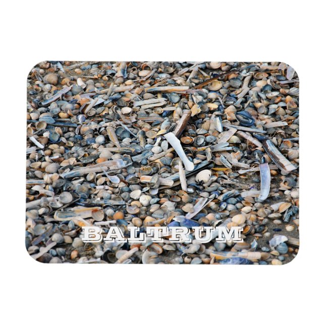 Beach, Shells, Driftwood, Baltrum Island Postcard Magnet (Horizontal)