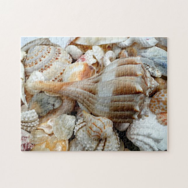 Beach Shells Lightning Whelk Puzzle (Horizontal)