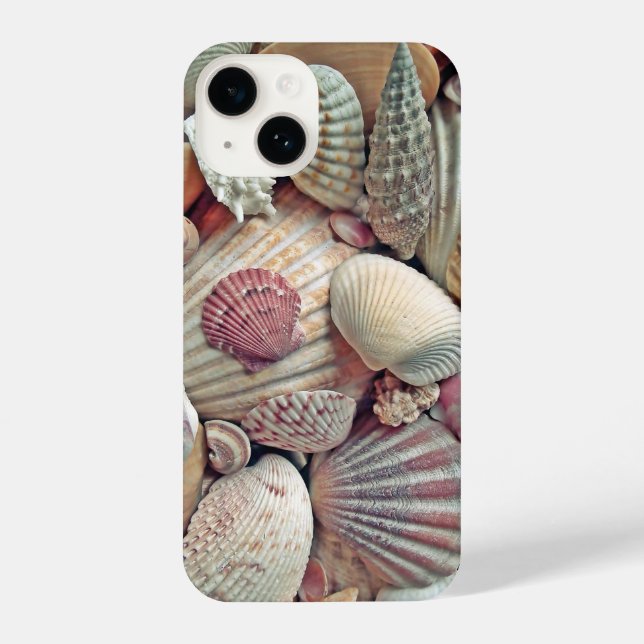 beach, shells, ocean iPhone case (Back)