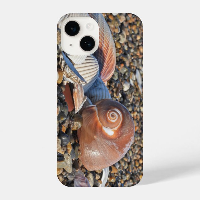 beach, shells, ocean iPhone case (Back)