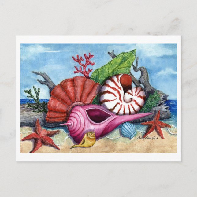 Beach Shells Painting Postcard (Front)