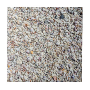 Beach Shells Sea Shell Background Ocean Texture Tile
