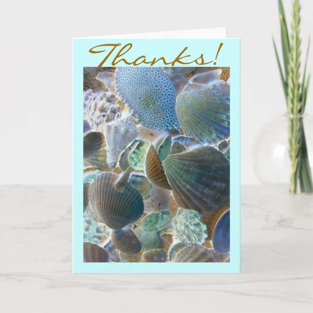 Beach Shells Thank You card (Front)