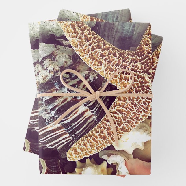 Beach Shells Wrapping Paper Sheet (In situ)