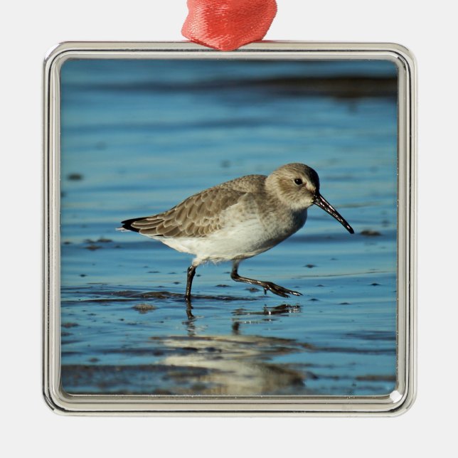 Beach Shorebirds Scene - Dunlin Metal Tree Decoration (Front)