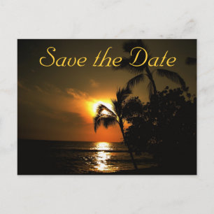 Beach Shoreline Wedding Announcement Postcard